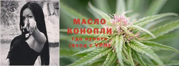 стаф Богородск