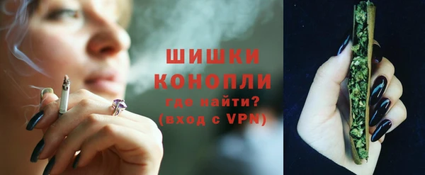 стаф Богородск