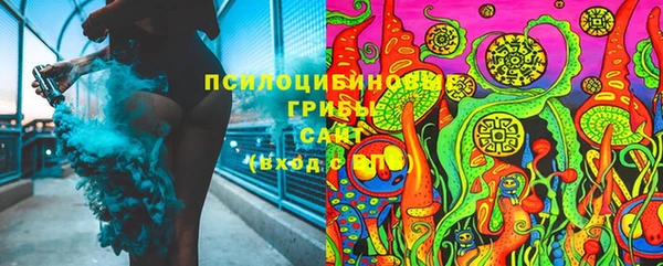 стаф Богородск