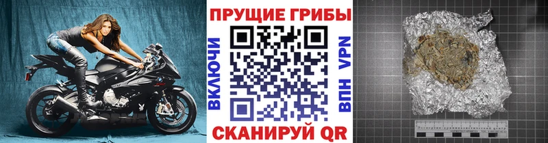 Псилоцибиновые грибы Psilocybe  Верхняя Тура 